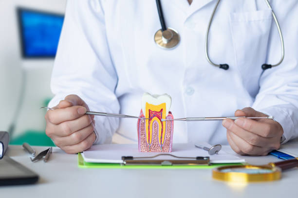 Best Tooth Infection Emergency Dentist  in Fairview, CA